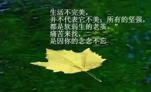 人生累的最经典的句子_(生活很累的经典句子2020)