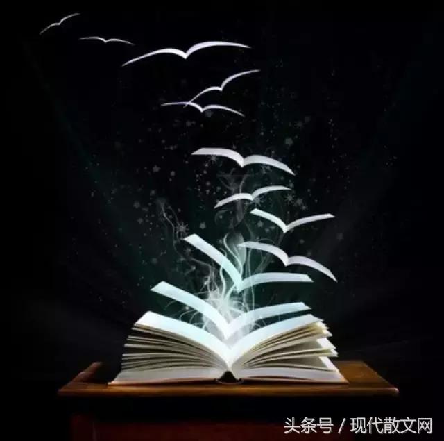数百篇经典文章,供您闲暇时查阅!