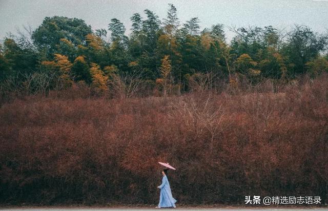 让心,静一静(年度美文)