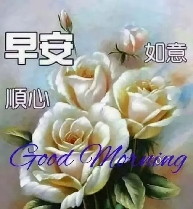 梅雨季节问候早安的句子 梅雨季节问候早安的句子
