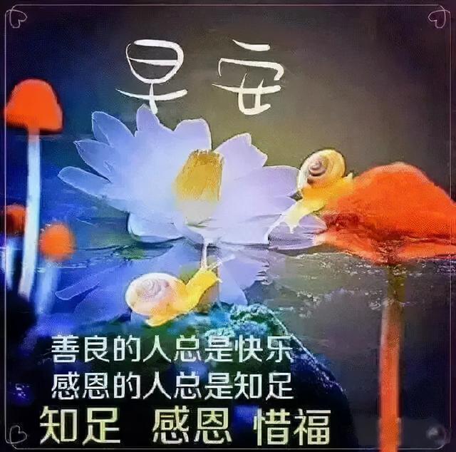 梅雨季节问候早安的句子 梅雨季节问候早安的句子