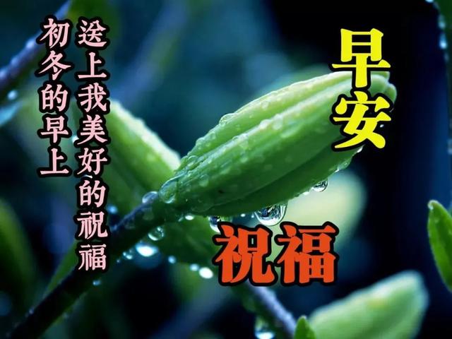 梅雨季节问候早安的句子 梅雨季节问候早安的句子
