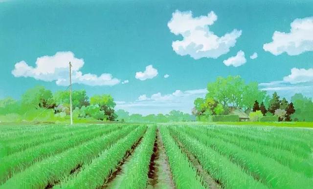 描写夏季节的句子词语 描写夏季节的句子词语