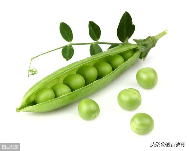 关于季节的仿写句子 关于季节的仿写句子