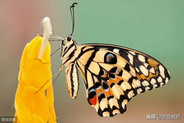 关于季节的仿写句子 关于季节的仿写句子