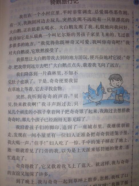 语文精选美文作文(经典美文500字)
