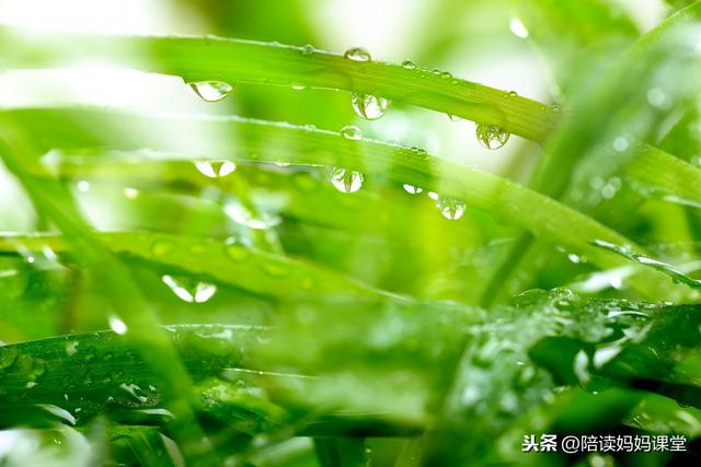 描写季节的句子50字以上 描写季节的句子50字以上