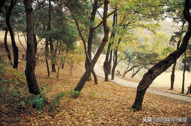 描写季节的句子50字以上 描写季节的句子50字以上