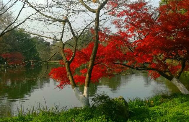 有关季节的英语优美句子 有关季节的英语优美句子