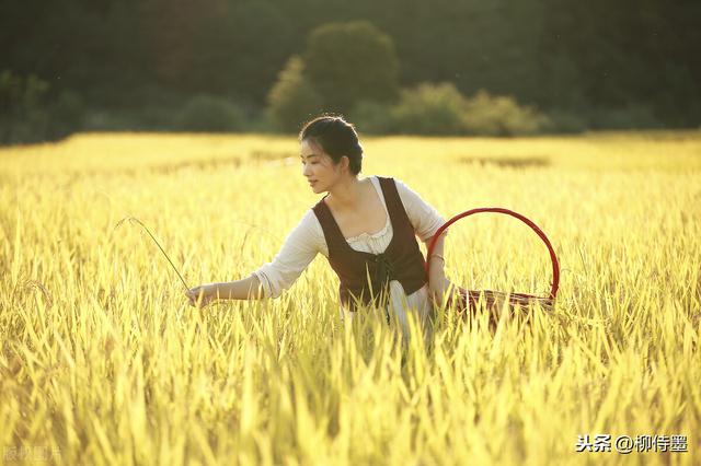 秋收的季节唯美句子 秋收的季节唯美句子