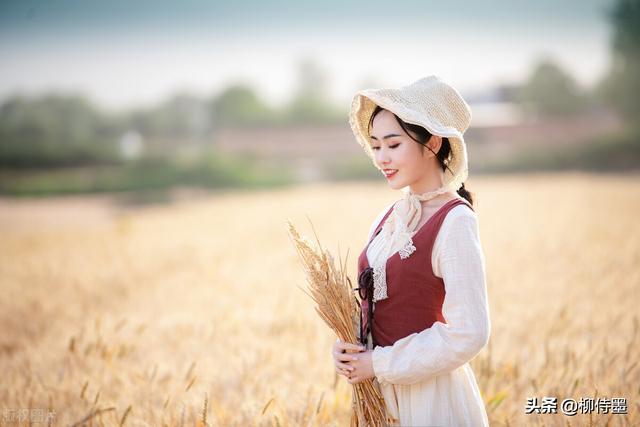 秋收的季节唯美句子 秋收的季节唯美句子