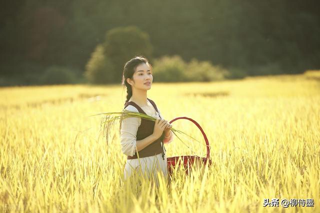 秋收的季节唯美句子 秋收的季节唯美句子