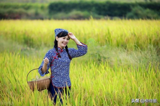 秋收的季节唯美句子 秋收的季节唯美句子