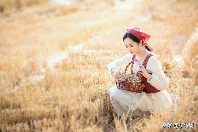 秋收的季节唯美句子 秋收的季节唯美句子