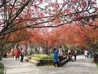 春天是个什么季节补写句子 春天是个什么季节补写句子