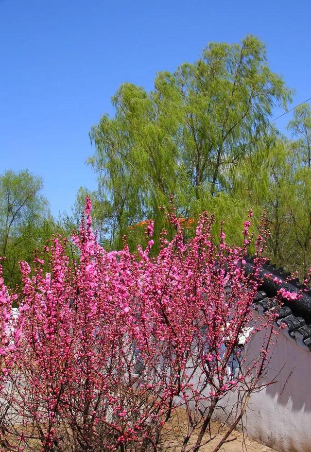 春天是个什么季节补写句子 春天是个什么季节补写句子