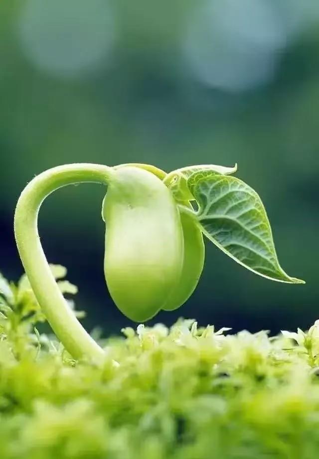 秋天是收获的季节句子,感谢老师的陪伴 秋天是收获的季节句子,感谢老师的陪伴