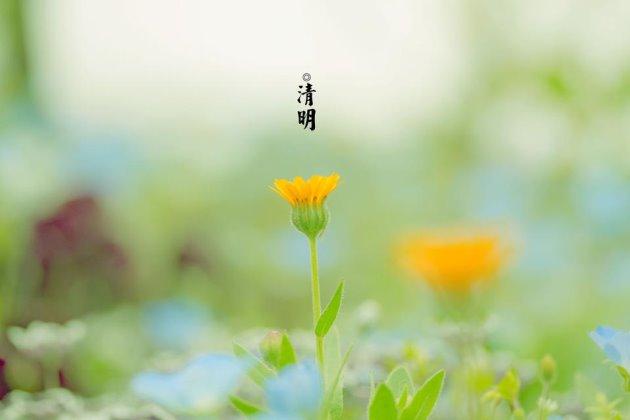 清明节的美文美句摘抄 清明节的美文美句摘抄