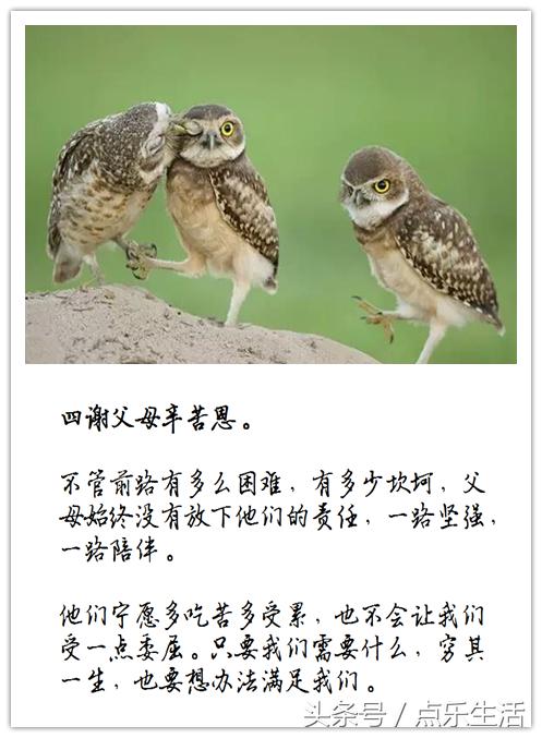 七谢父母恩！（深度美文）