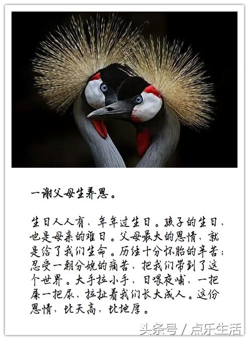 七谢父母恩！（深度美文）