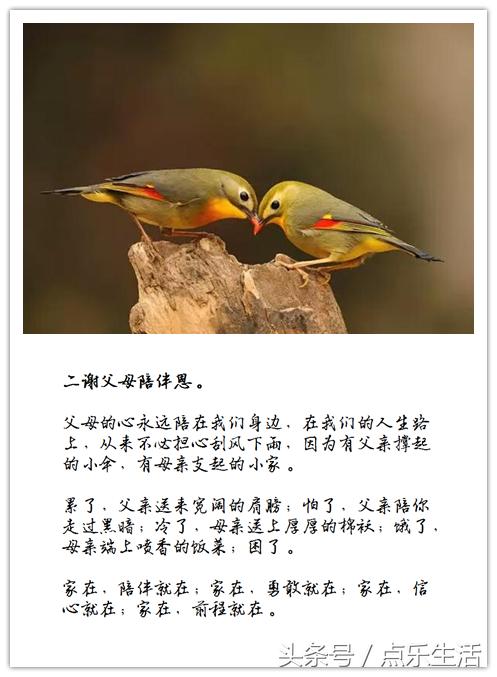 七谢父母恩！（深度美文）