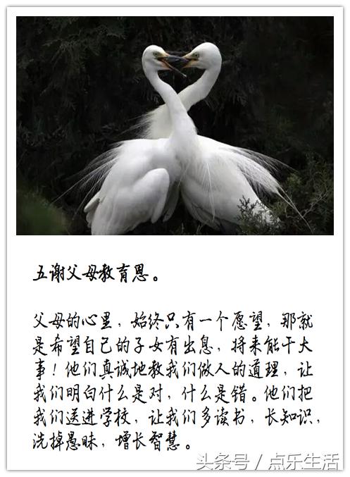 七谢父母恩！（深度美文）
