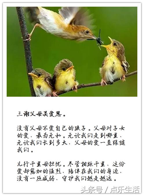 七谢父母恩！（深度美文）