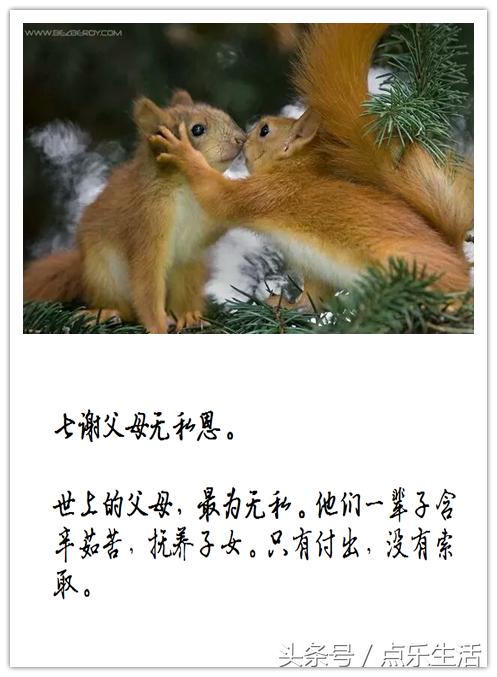七谢父母恩！（深度美文）