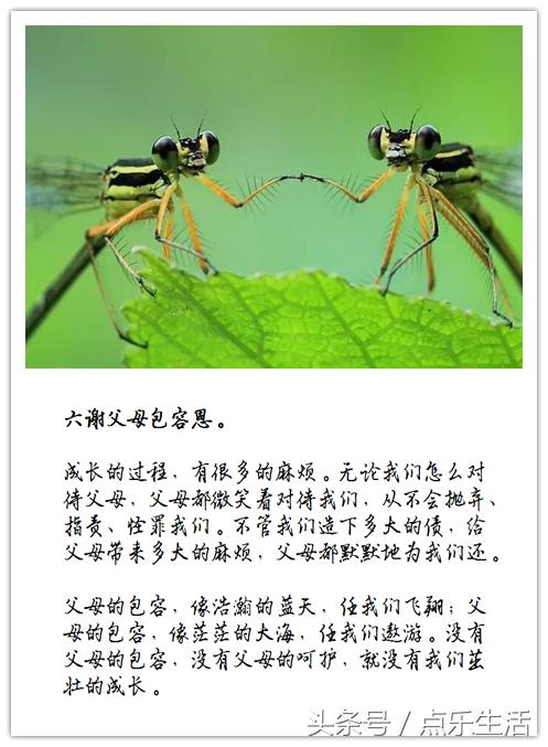 七谢父母恩！（深度美文）