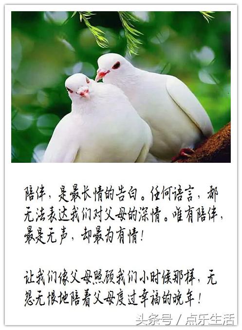 七谢父母恩！（深度美文）