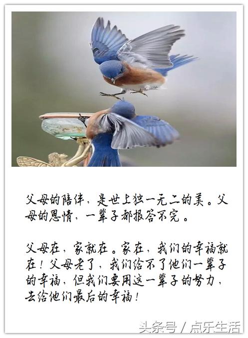 七谢父母恩！（深度美文）