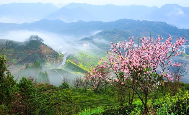 萧红、冰心、丰子恺笔下的清明节:人生是减法,见一面,少一面