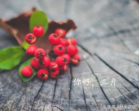 二十句描写季节的优美句子