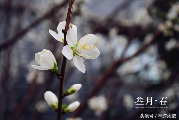 二十句描写季节的优美句子