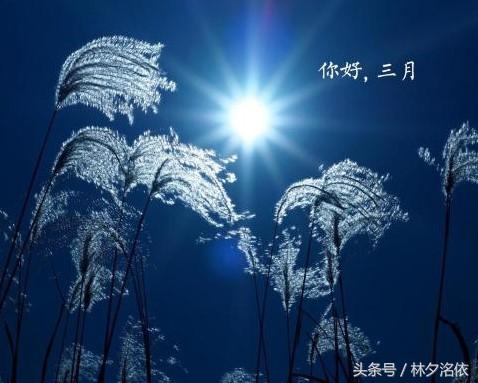 二十句描写季节的优美句子
