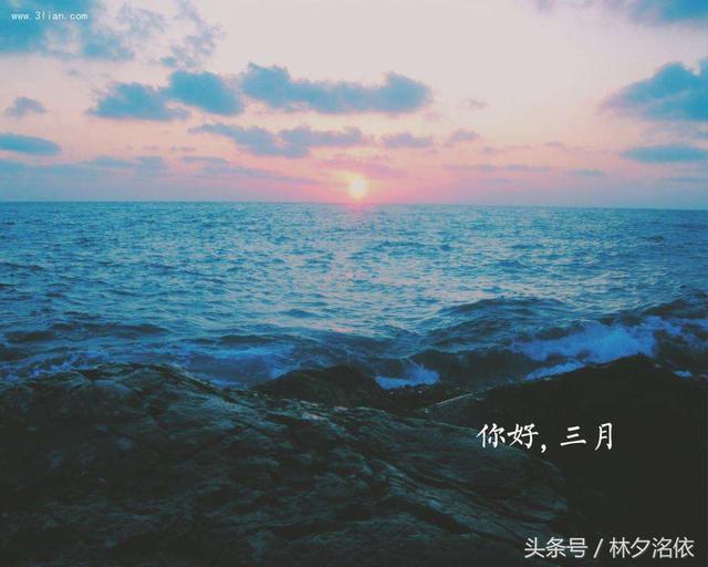 二十句描写季节的优美句子