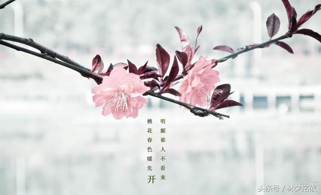 二十句描写季节的优美句子