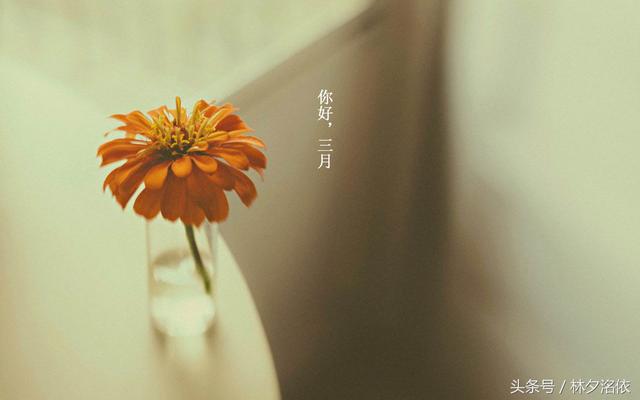 二十句描写季节的优美句子