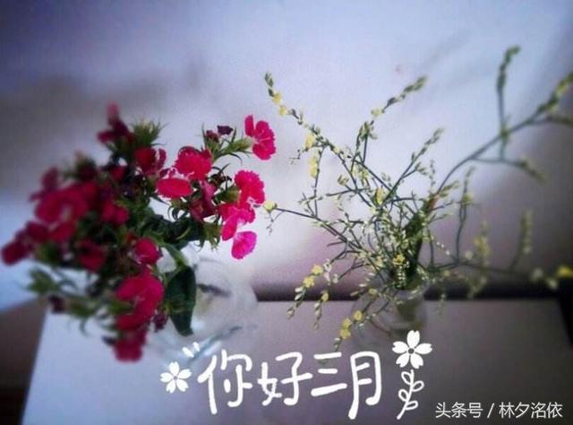 二十句描写季节的优美句子