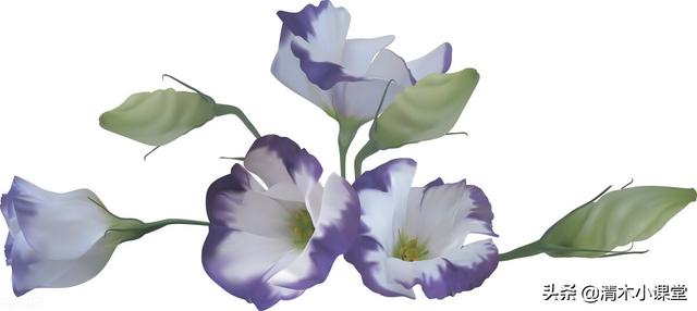 描写季节的句子150字左右 描写季节的句子150字左右