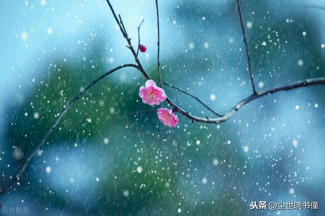 梅雨季节伤感的句子 梅雨季节伤感的句子