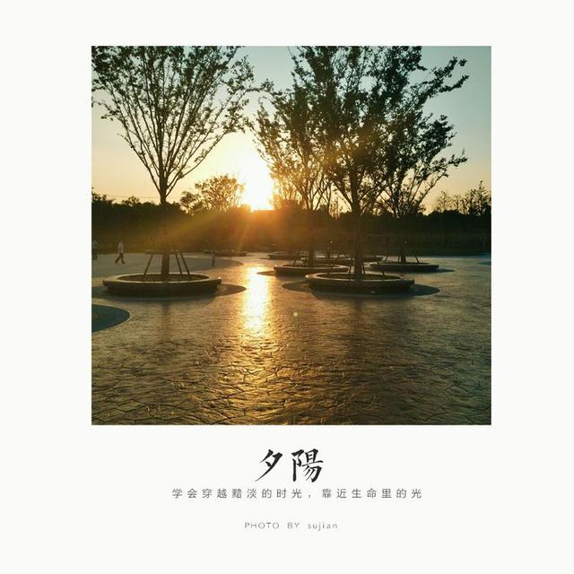 美文美句图片的有哪些软件