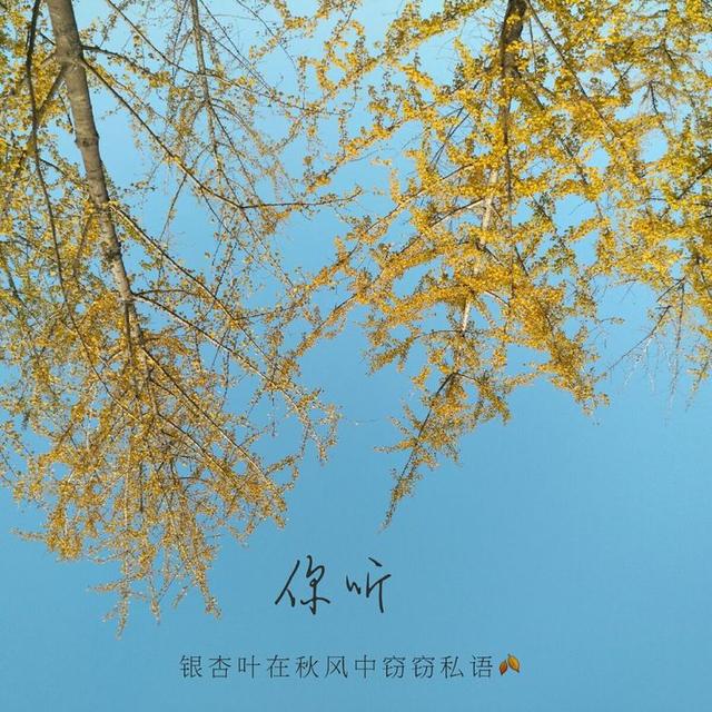 美文美句图片的有哪些软件