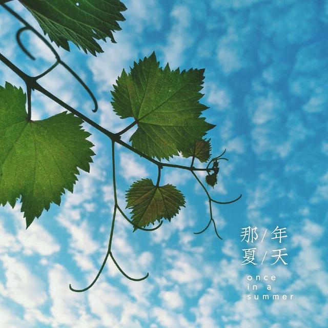 美文美句图片的有哪些软件