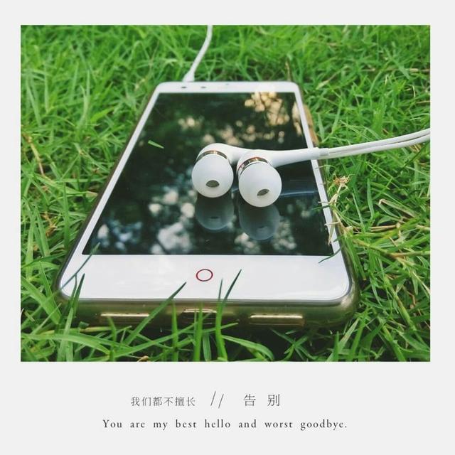 美文美句图片的有哪些软件