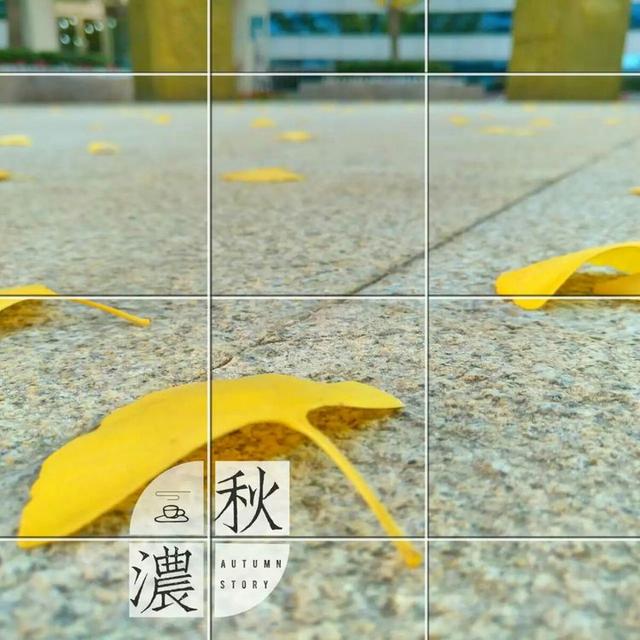 美文美句图片的有哪些软件