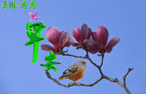 季节更替的优美句子 季节更替的优美句子