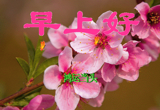 季节更替的优美句子 季节更替的优美句子