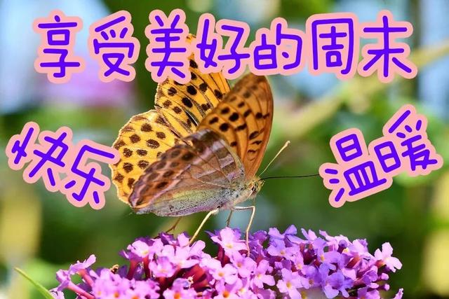季节更替的优美句子 季节更替的优美句子