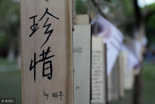 美文美句摘抄大全励志爱情人生 美文美句摘抄大全励志爱情人生
